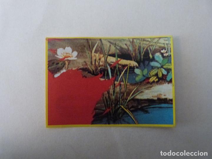 Coleccionismo cromos antiguos: CROMO DE LA ABEJA MAYA SIN PEGAR N&ordm; 90 A&Ntilde;O 1977 DEL ALBUM LA ABEJA MAYA DE DANONE