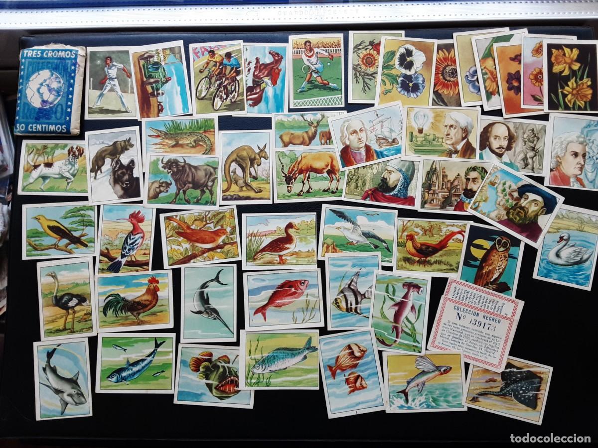 Colecionismo Cromos antigos: Lote de 49 cromos Recreo m&aacute;s un sobre vac&iacute;o m&aacute;s dos vales, deportes, aves, personajes...
