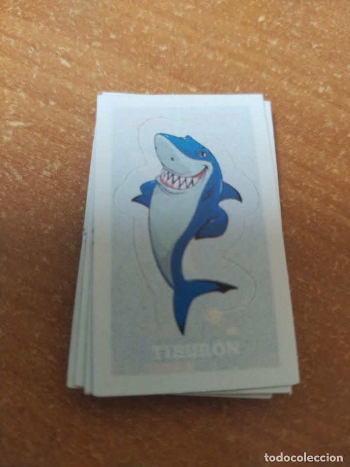 Collectable Antique Stickers: CROMO PEGATINA GUSANITOS RISI ( ANIMALES DEL MUNDO ) NUEVOS SIN PEGAR