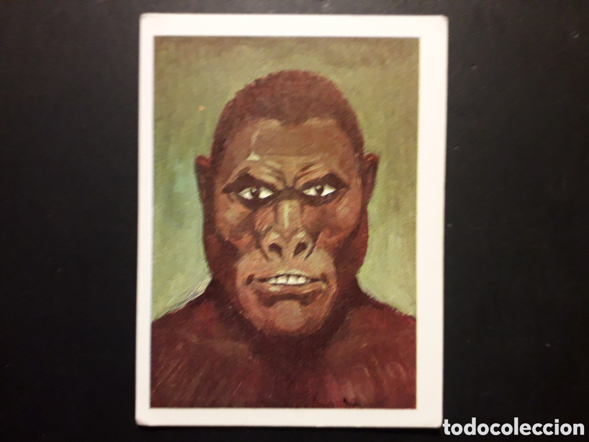 Sammeln alte Sammelbilder: HOMBRE GORILA HISTORIAS DE TERROR ED EDIVERSA 1979 N&deg; 70 SIN PEGAR PEDIDO M&Iacute;NIMO 3&euro;