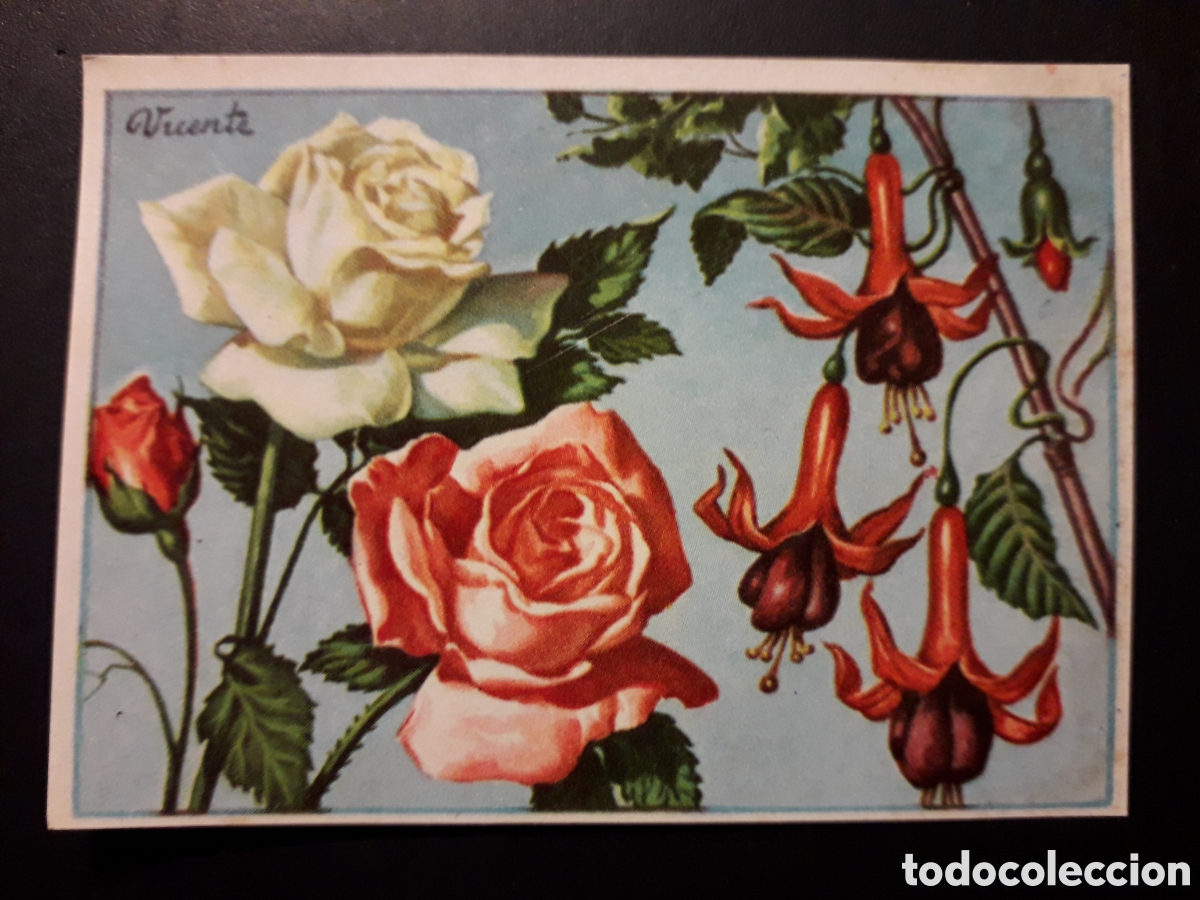 Coleccionismo Cromos antiguos: ROSAS HISTORIA NATURAL I N&deg; 102 ED BRUGUERA 1958 SIN PEGAR PEDIDO M&Iacute;NIMO 3&euro;