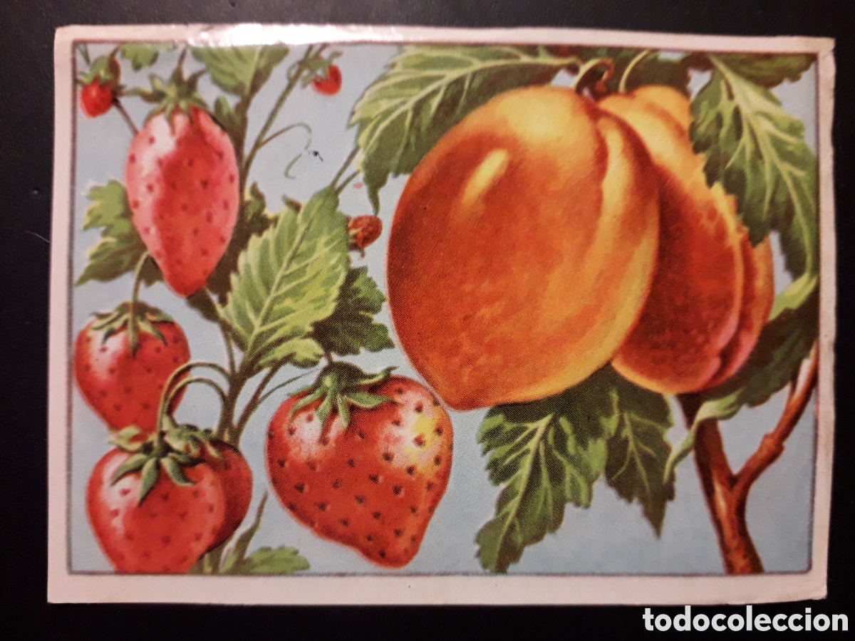 Coleccionismo Cromos antiguos: FRESAS ALBARICOQUE HISTORIA NATURAL I N&deg; 119 ED BRUGUERA 1958 SIN PEGAR PEDIDO M&Iacute;NIMO 3&euro;