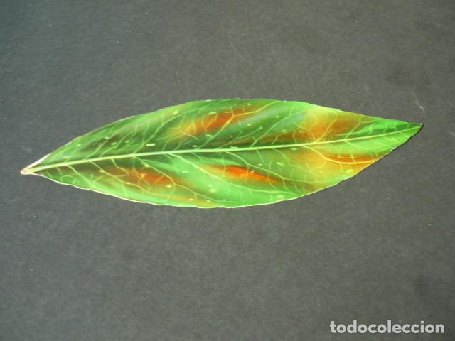 Collezionismo Figurine antiche: PUBLICIDAD LIBRO EL MUNDO EN COLOR EDICIONES CASTILLA S.A.