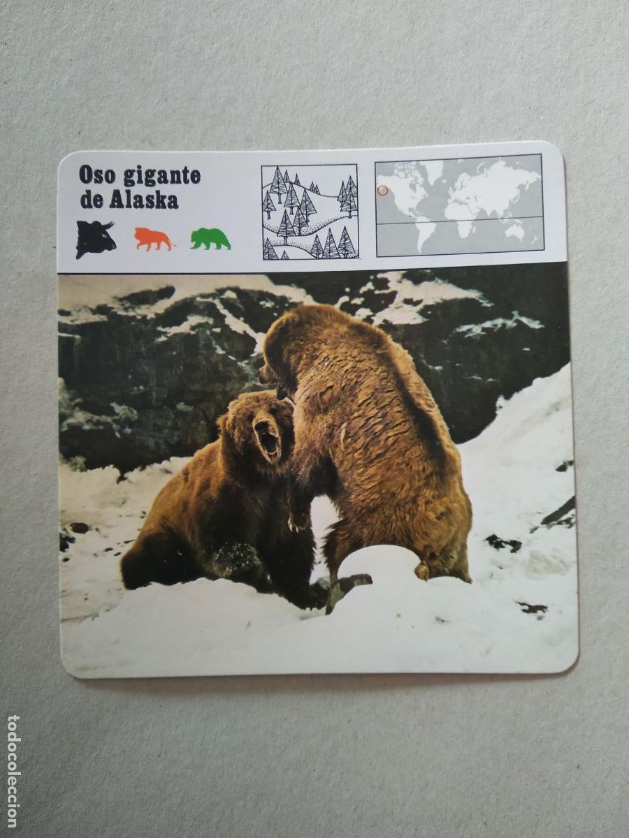 Coleccionismo Cromos antiguos: OSO GIGANTE DE ALASKA FICHA EDICIONES RENCONTRE SAPE MATEU CROMO