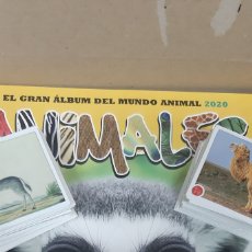 Coleccionismo Cromos antiguos: EL GRAN ALBUM DEL MUNDO ANIMAL 2020 ANIMALES PANINI ”COLECCION COMPLETA SIN PEGAR”