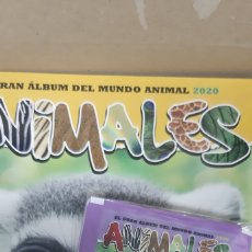 Coleccionismo Cromos antiguos: EL GRAN ALBUM DEL MUNDO ANIMAL 2020 ANIMALES PANINI ”SOBRES SUELTOS”