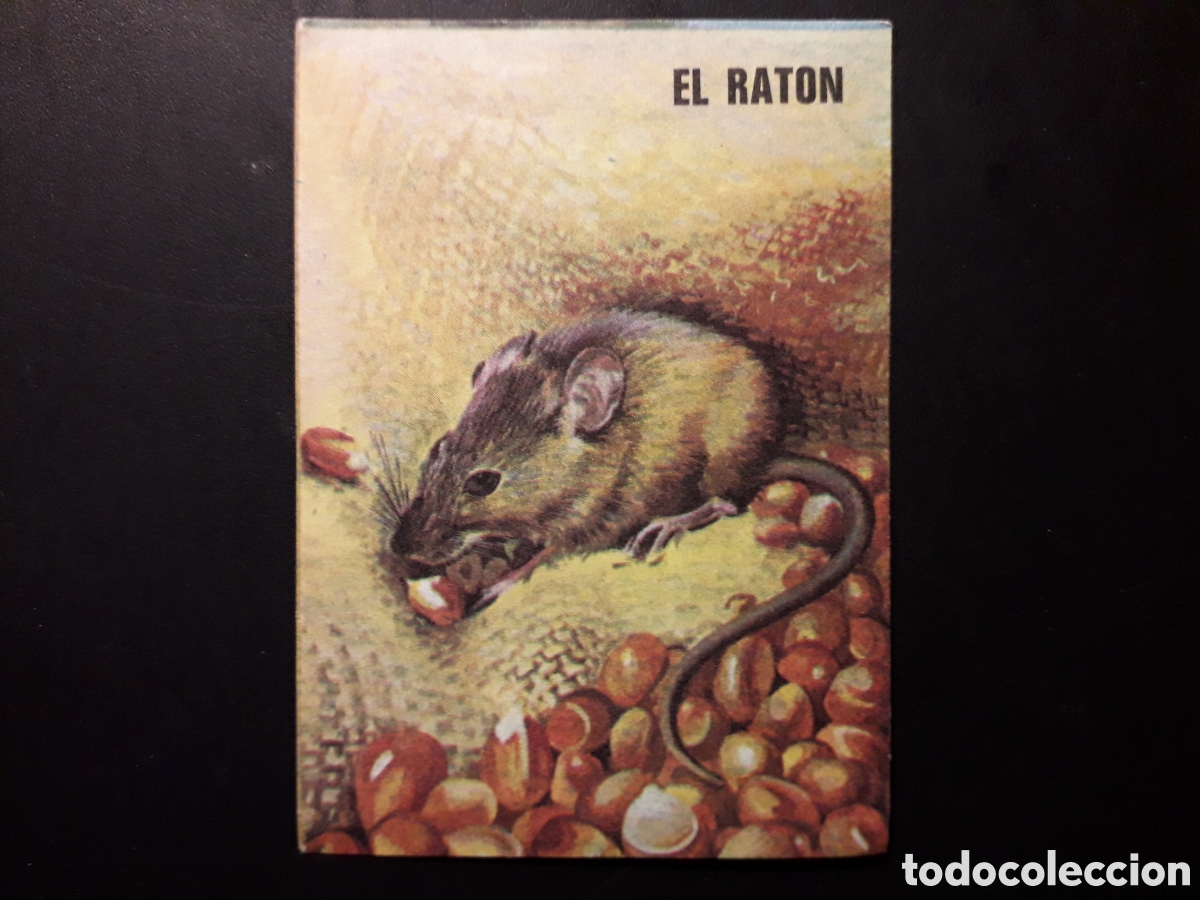 Colecionismo Cromos antigos: EL RAT&Oacute;N, LIBRO DE LAS ADIVINANZAS 2, BIMBO 1974 N&deg; 4 SIN PEGAR, PEDIDO M&Iacute;NIMO 3&euro;