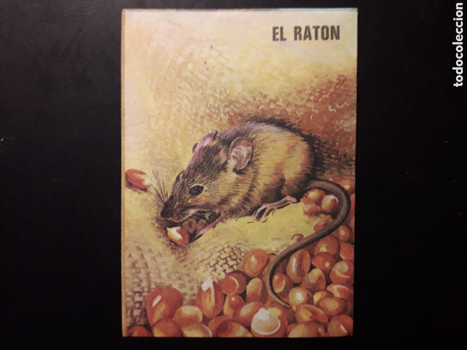 Collectionnisme Cartes &agrave; collectionner anciennes: EL RAT&Oacute;N, LIBRO DE LAS ADIVINANZAS 2, BIMBO 1974 N&deg; 4 SIN PEGAR, PEDIDO M&Iacute;NIMO 3&euro;.