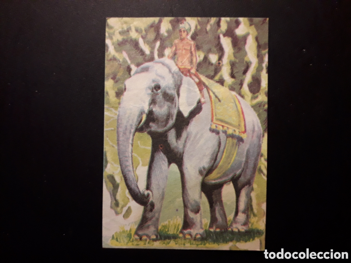 Colecionismo Cromos antigos: BARCO DEL MISSISSIPPI, LIBRO DE LAS ADIVINANZAS 2, BIMBO 1974 N&deg; 131 SIN PEGAR, PEDIDO M&Iacute;NIMO 3&euro;