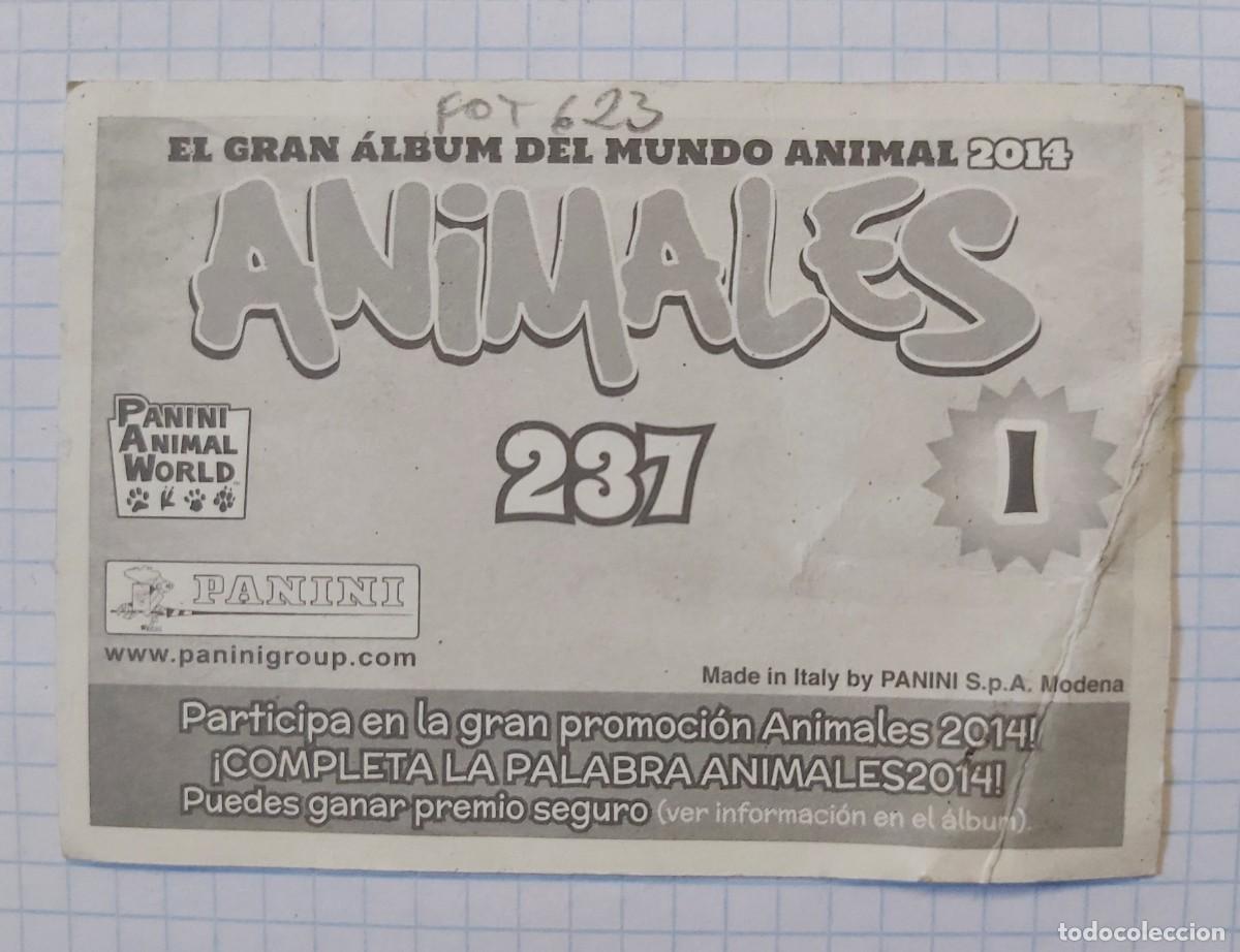 Coleccionismo cromos antiguos: Cromo Animales, n&ordm; 237, Panini - Foto 2