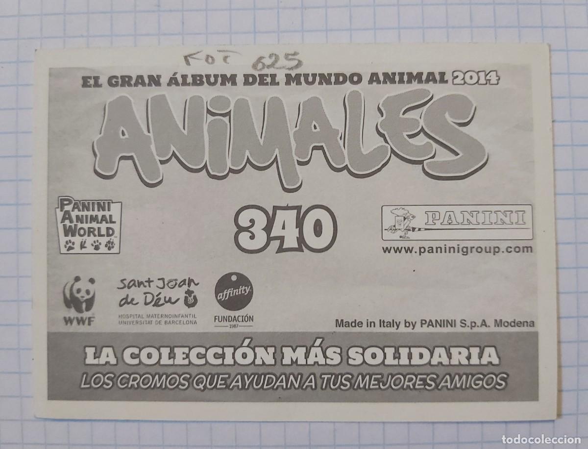 Coleccionismo cromos antiguos: Cromo Animales, n&ordm; 340, Panini - Foto 2