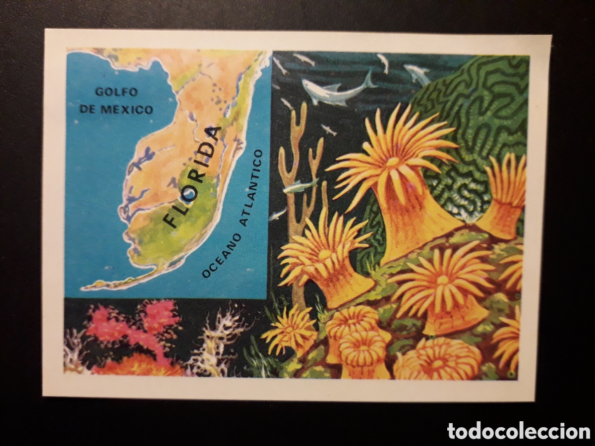 Sammeln alte Sammelbilder: P&Oacute;LIPOS PANORAMA ZOOL&Oacute;GICO. RUIZ ROMERO 1973 N&deg; 8 DESPEGADO PEDIDO M&Iacute;NIMO 3&euro;