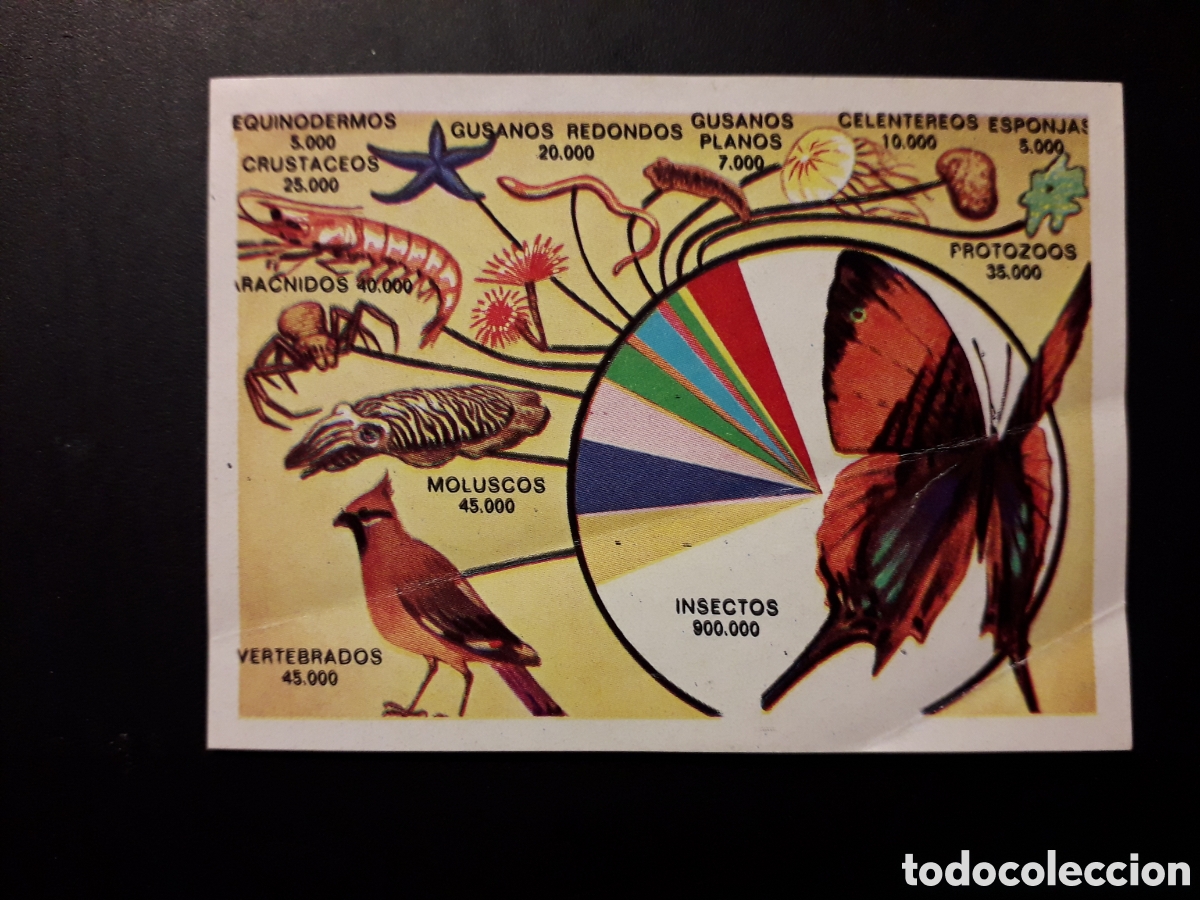 Sammeln alte Sammelbilder: GR&Aacute;FICO DEL REINO ANIMAL PANORAMA ZOOL&Oacute;GICO. RUIZ ROMERO 1973 N&deg; 44 DESPEGADO PEDIDO M&Iacute;NIMO 3&euro;