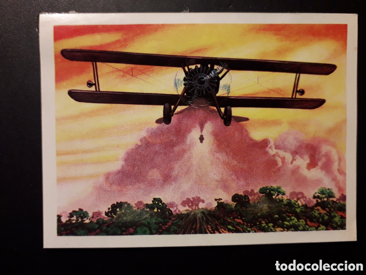 Sammeln alte Sammelbilder: INSECTICIDAS PANORAMA ZOOL&Oacute;GICO. RUIZ ROMERO 1973 N&deg; 54 DESPEGADO PEDIDO M&Iacute;NIMO 3&euro;