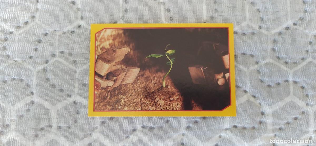 Coleccionismo cromos antiguos: WALL&bull;E N&deg;31 CROMO CROMOS DISNEY PIXAR - Foto 1
