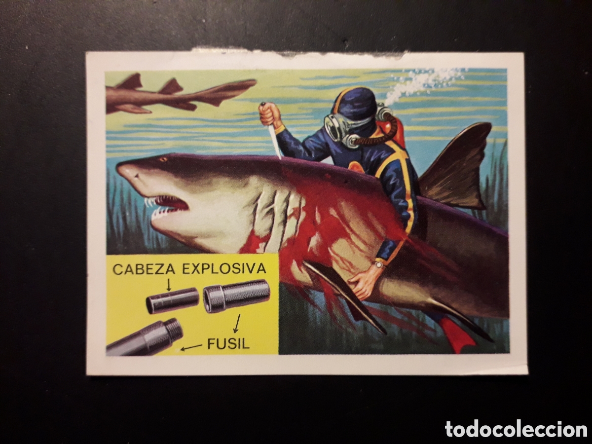Colecionismo Cromos antigos: TIBUR&Oacute;N NODRIZA PANORAMA ZOOL&Oacute;GICO. RUIZ ROMERO 1973 N&deg; 101 DESPEGADO PEDIDO M&Iacute;NIMO 3&euro;.