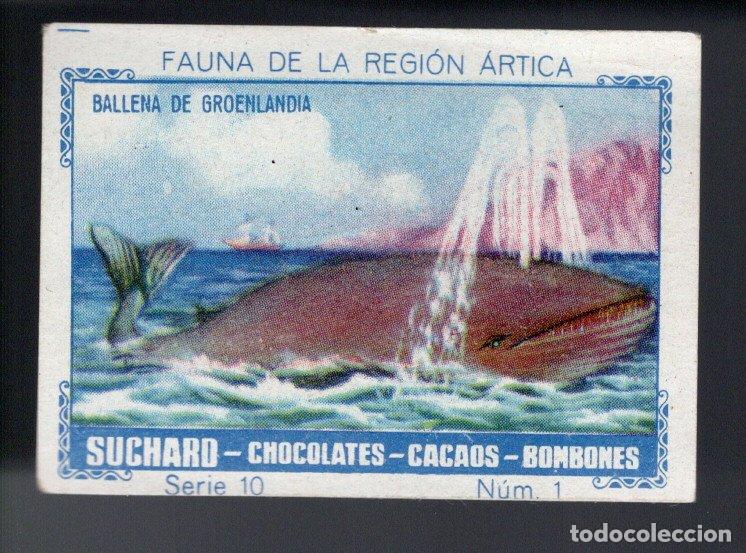 Collectionnisme Cartes &agrave; collectionner anciennes: FAUNA DE LA REGI&Oacute;N &Aacute;RTICA - BALLENA DE GROENLANDIA - SERIE 10, N&ordm; 1 - SUCHARD