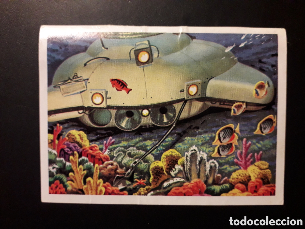 Coleccionismo cromos antiguos: EXPLORACI&Oacute;N SUBMARINA PANORAMA ZOOL&Oacute;GICO. RUIZ ROMERO 1973 N&deg; 140 DESPEGADO PEDIDO M&Iacute;NIMO 3&euro;