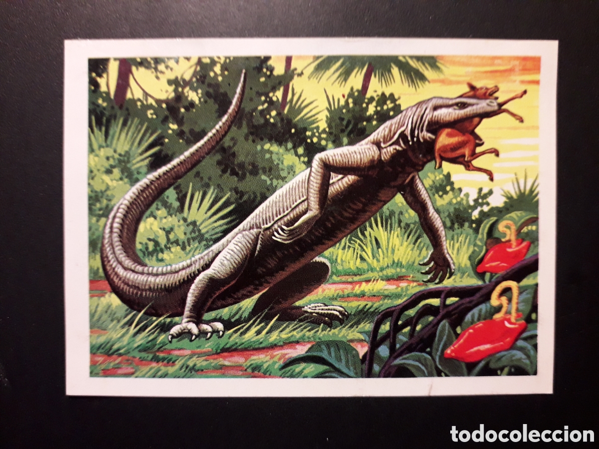 Coleccionismo Cromos antiguos: DRAG&Oacute;N DE COMODO PANORAMA ZOOL&Oacute;GICO. RUIZ ROMERO 1973 N&deg; 155 DESPEGADO PEDIDO M&Iacute;NIMO 3&euro;