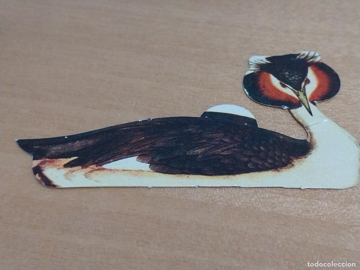 Sammeln alte Sammelbilder: PANRICO PAJAROS SOMORMUJO LAVANCO 89 CROMO SIN PEGAR NUNCA A&Ntilde;OS 70 * PROMO PASTELITOS