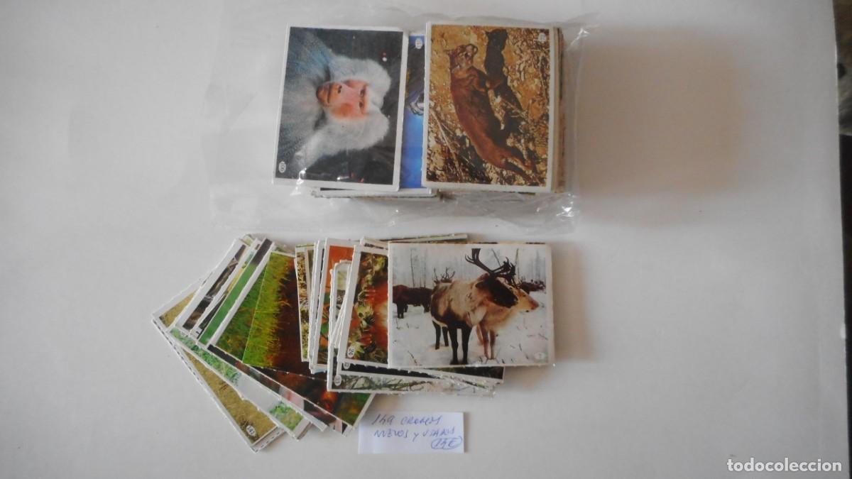 Collezionismo Figurine antiche: TELE INDISCRETA 149 CROMOS NUEVOS Y USADOS