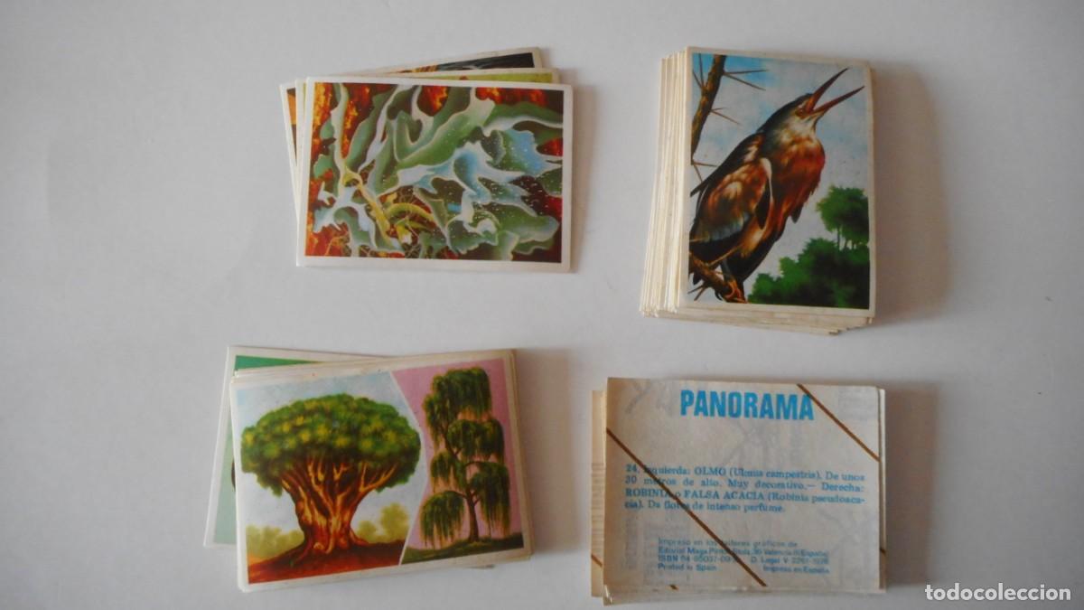 Coleccionismo cromos antiguos: PANORAMA 59 CROMOS NUEVOS - Foto 1