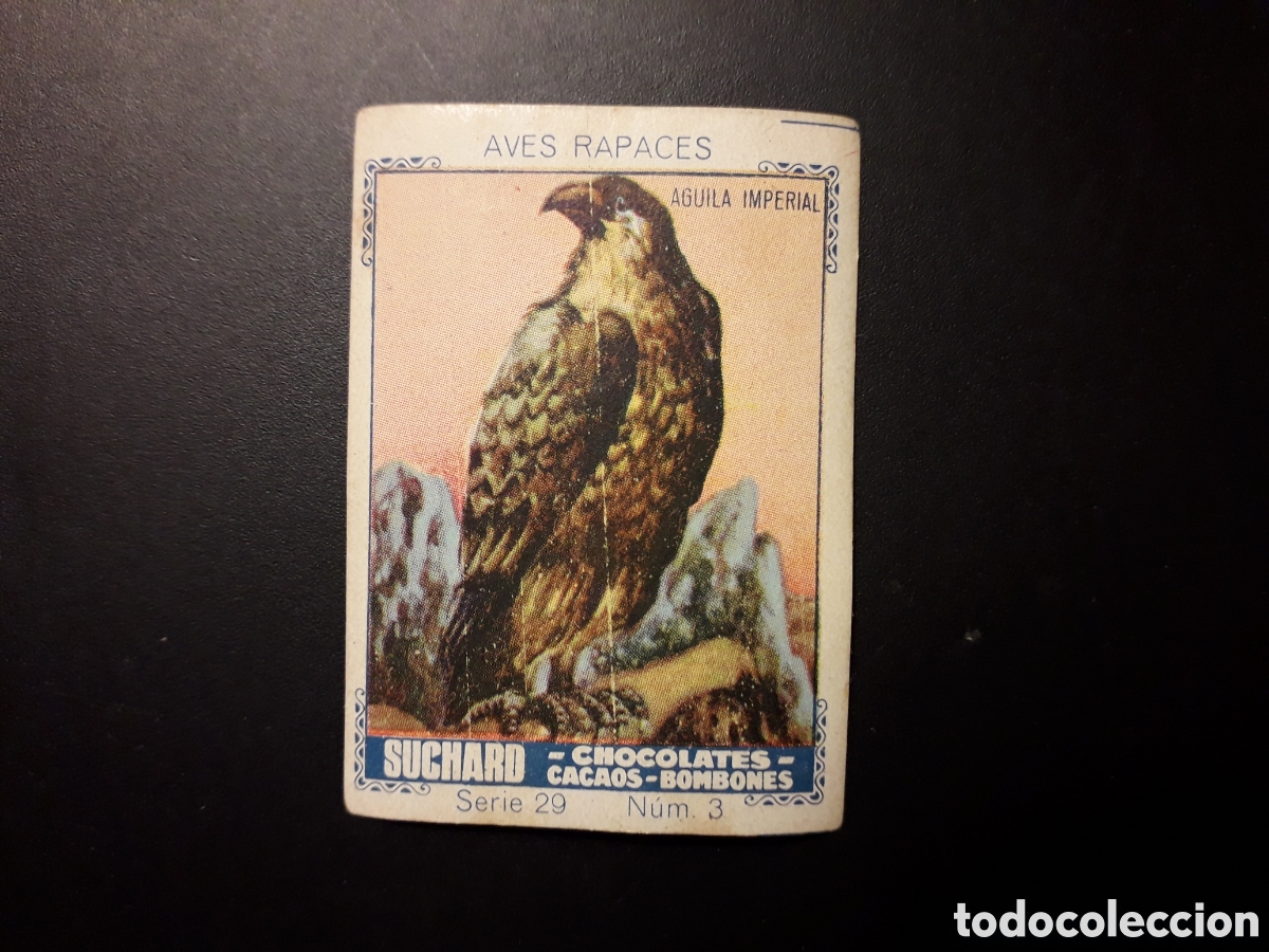 Colecionismo Cromos antigos: &Aacute;GUILA IMPERIAL, AVES RAPACES SERIE 29 N&deg; 3 ALBUM AZUL SUCHARD 1932 SIN PEGAR. PEDIDO M&Iacute;NIMO 3&euro;