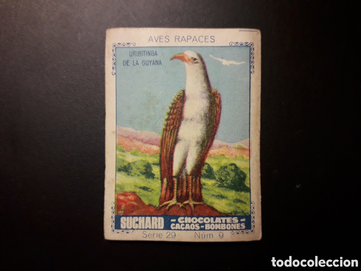 Colecionismo Cromos antigos: URBITINGA, AVES RAPACES SERIE 29 N&deg; 9 ALBUM AZUL SUCHARD 1932 SIN PEGAR. PEDIDO M&Iacute;NIMO 3&euro;