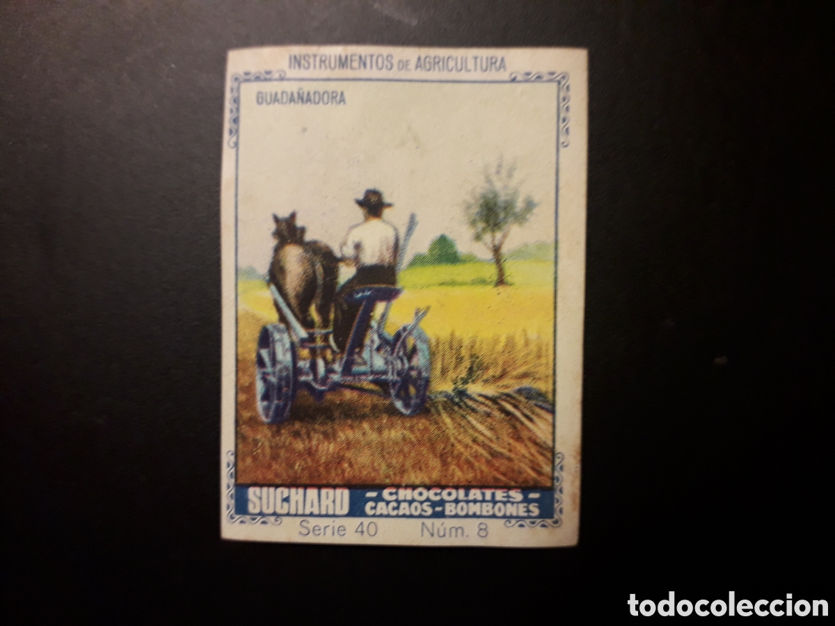 Colecionismo Cromos antigos: AGRICULTURA SERIE 40 N&deg; 8 ALBUM AZUL SUCHARD 1932 SIN PEGAR. PEDIDO M&Iacute;NIMO 3&euro;