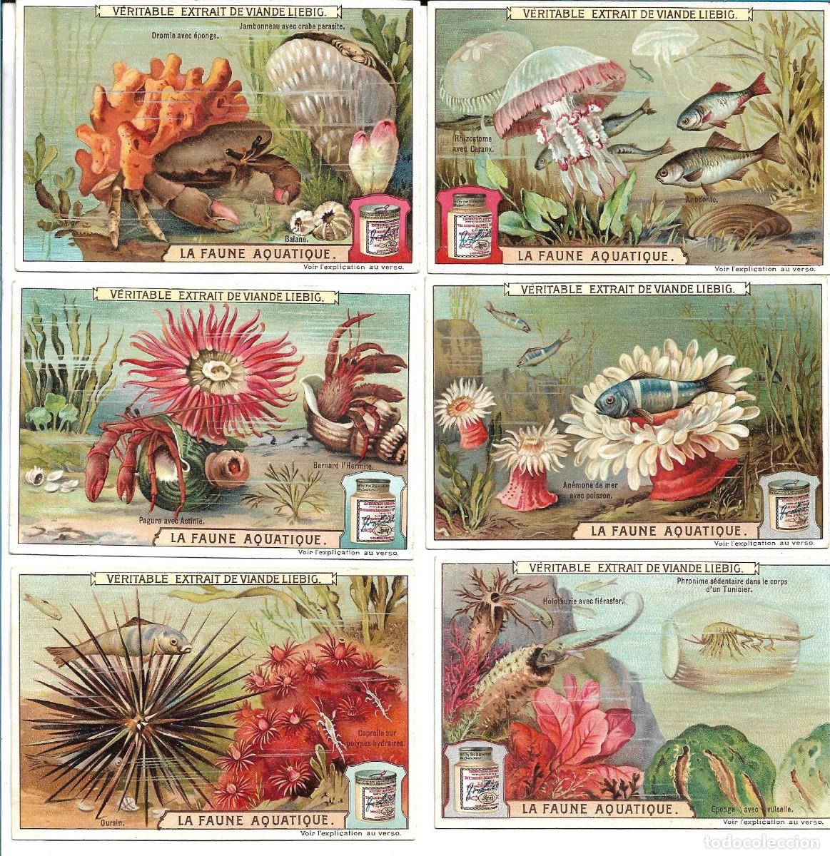 Coleccionismo cromos antiguos: LIEBIG SANGUINETTI 926 - Foto 1