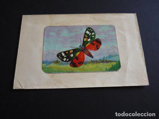 Sammeln alte Sammelbilder: CROMO A&Ntilde;OS 20 30 ZOOLOGIA MARIPOSA