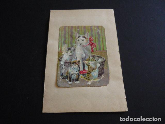 Collectable Antique Stickers: CROMO A&Ntilde;OS 20 30 ZOOLOGIA GATOS