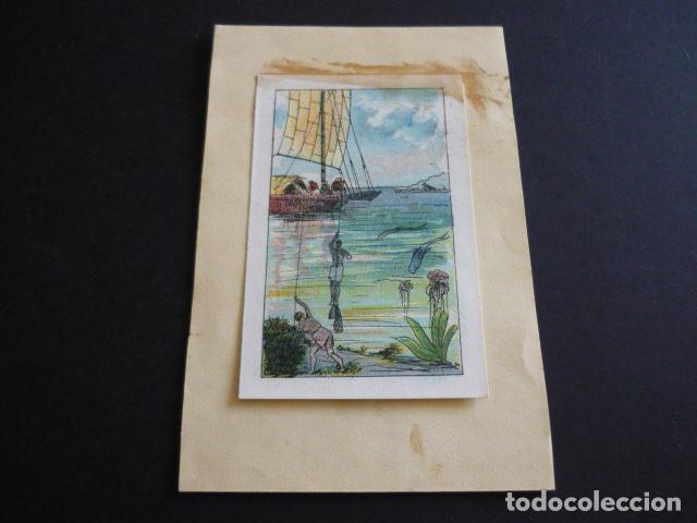 Collectable Antique Stickers: CROMO A&Ntilde;OS 20 30 ZOOLOGIA MARINA BUZOS