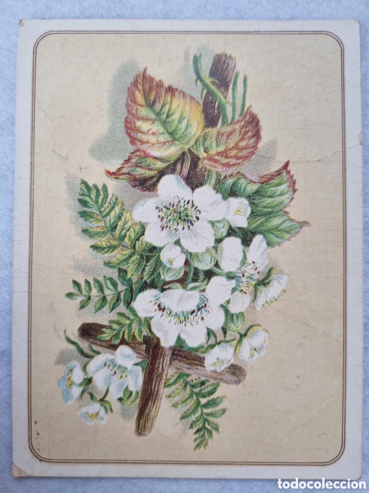 Coleccionismo cromos antiguos: Cromo de corbatas GRAN BAZAR MADRID P1 - Foto 1