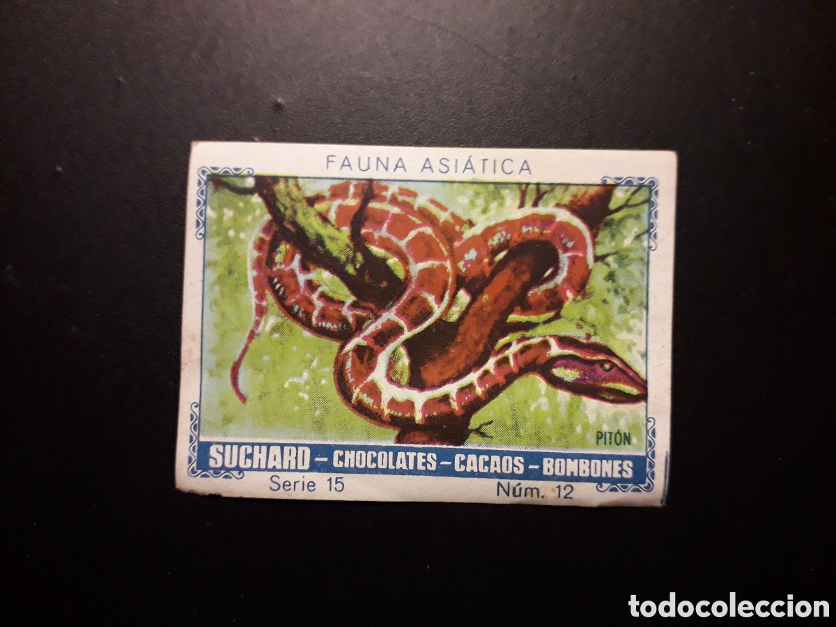 Collectable Antique Stickers: PIT&Oacute;N, FAUNA ASI&Aacute;TICA SERIE 15 N&deg; 12 ALBUM AZUL SUCHARD 1932 SIN PEGAR. PEDIDO M&Iacute;NIMO 3&euro;