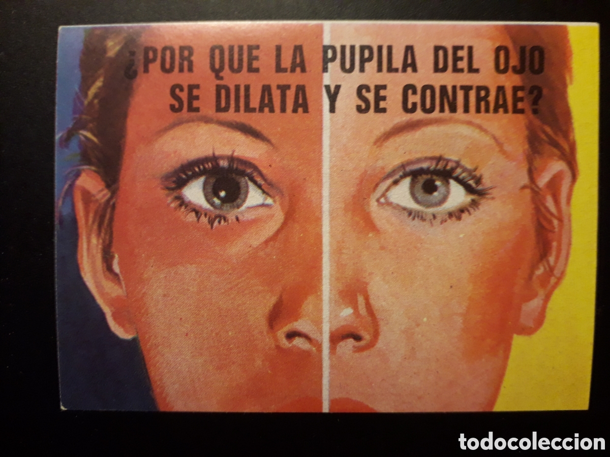 Collectable Antique Stickers: PUPILA, EL PORQU&Eacute; DE LAS COSAS 3 BIMBO 1972 N&deg; 10 SIN PEGAR. PEDIDO M&Iacute;NIMO 3&euro;