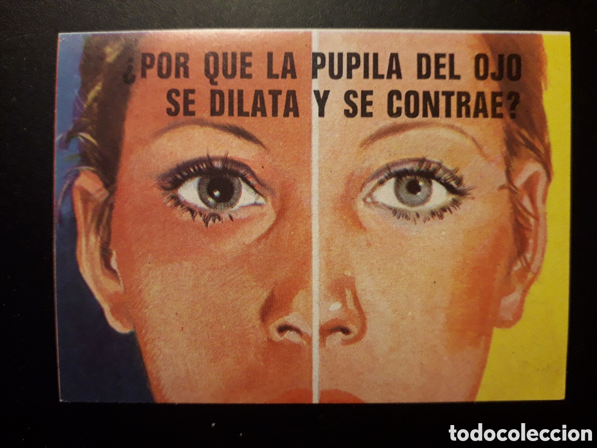 Collectable Antique Stickers: PUPILA, EL PORQU&Eacute; DE LAS COSAS 3 BIMBO 1972 N&deg; 10 SIN PEGAR. PEDIDO M&Iacute;NIMO 3&euro;