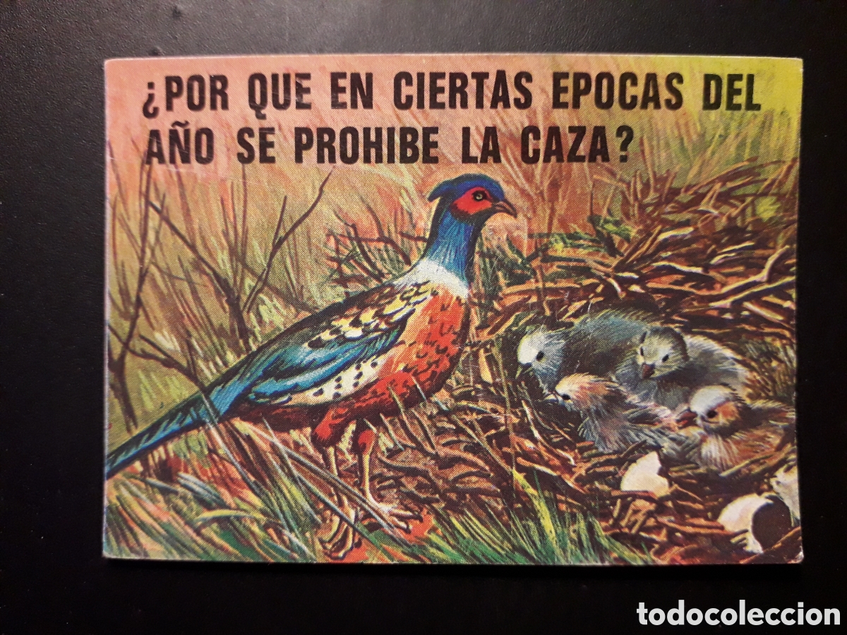 Collectable Antique Stickers: CAZA, EL PORQU&Eacute; DE LAS COSAS 3 BIMBO 1972 N&deg; 14 SIN PEGAR. PEDIDO M&Iacute;NIMO 3&euro;
