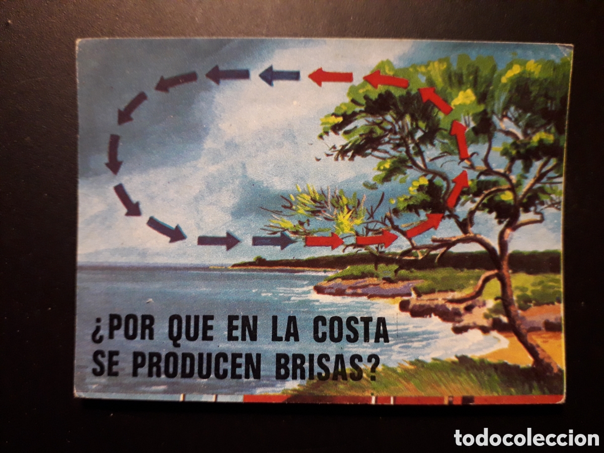 Collectable Antique Stickers: BRISAS COSTERAS, EL PORQU&Eacute; DE LAS COSAS 3 BIMBO 1972 N&deg; 23 SIN PEGAR. PEDIDO M&Iacute;NIMO 3&euro;.