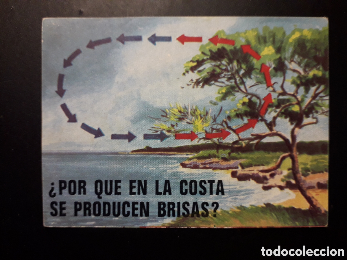 Collectable Antique Stickers: BRISAS COSTERAS, EL PORQU&Eacute; DE LAS COSAS 3 BIMBO 1972 N&deg; 23 SIN PEGAR. PEDIDO M&Iacute;NIMO 3&euro;.