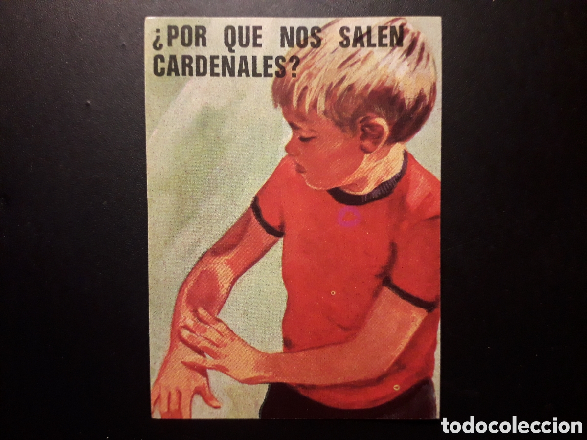 Collectable Antique Stickers: POR QU&Eacute; SALEN CARDENALES?, EL PORQU&Eacute; DE LAS COSAS 3 BIMBO 1972 N&deg; 42 SIN PEGAR. PEDIDO M&Iacute;NIMO 3&euro;.