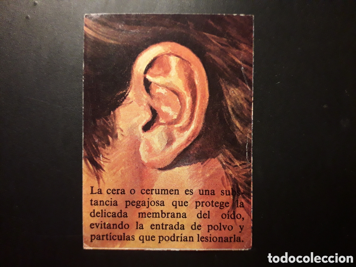 Collectable Antique Stickers: CERA, CERUMEN, OREJA, EL PORQU&Eacute; DE LAS COSAS 3 BIMBO 1972 N&deg; 47 SIN PEGAR. PEDIDO M&Iacute;NIMO 3&euro;.