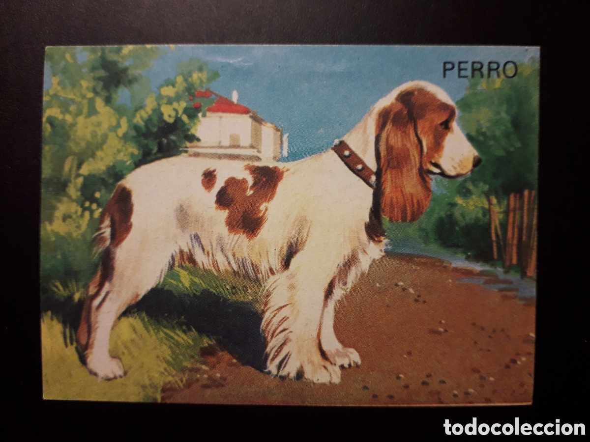 Collectable Antique Stickers: PERRO, EL PORQU&Eacute; DE LAS COSAS 3 BIMBO 1972 N&deg; 69 SIN PEGAR. PEDIDO M&Iacute;NIMO 3&euro;