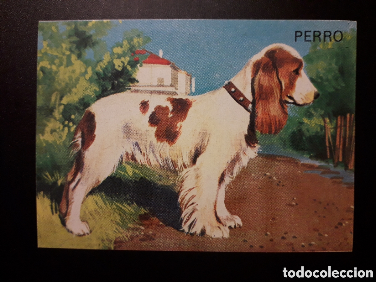 Collectable Antique Stickers: PERRO, EL PORQU&Eacute; DE LAS COSAS 3 BIMBO 1972 N&deg; 69 SIN PEGAR. PEDIDO M&Iacute;NIMO 3&euro;
