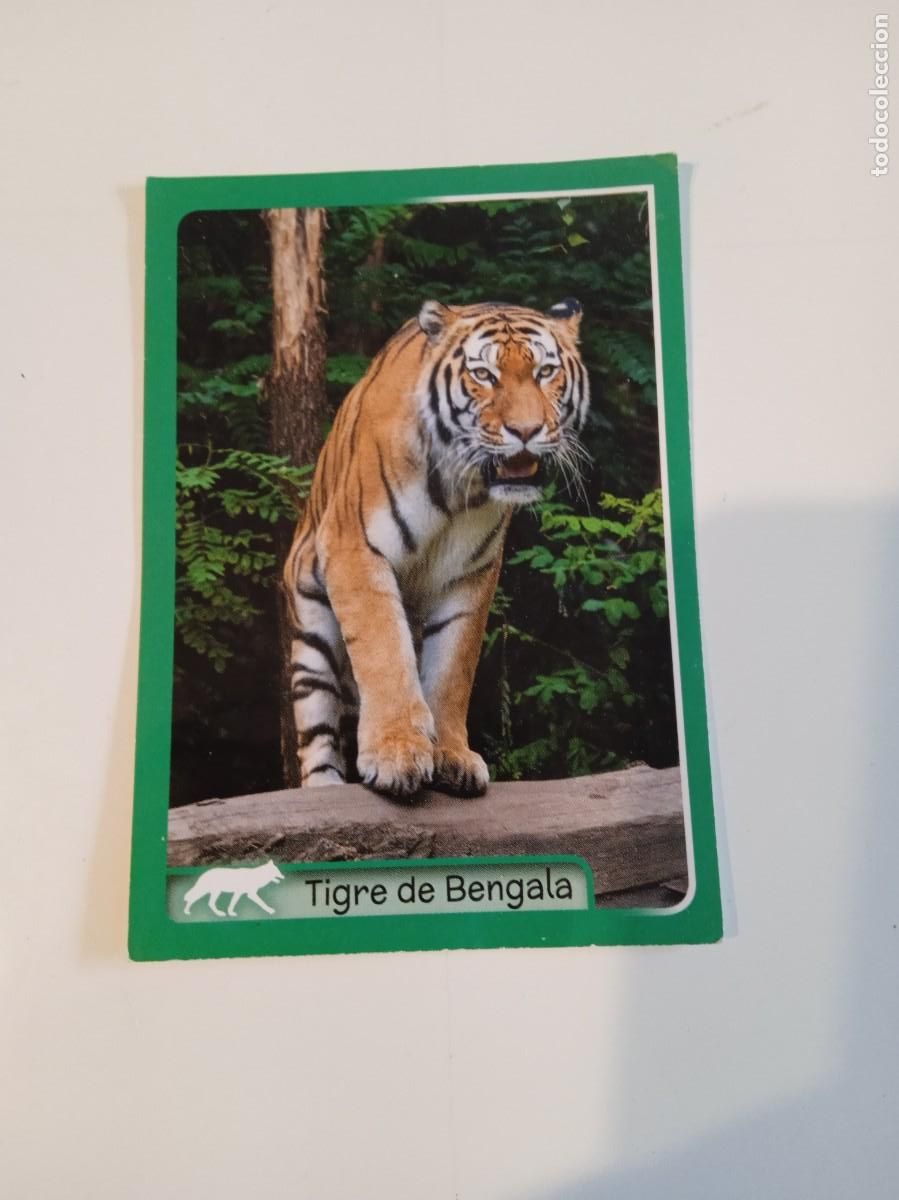 Collectionnisme Cartes &agrave; collectionner anciennes: C-ESS CROMO SIN PEGAR EL GRAN ALBUM DEL MUNDO ANIMAL 2014 N&ordm; 091