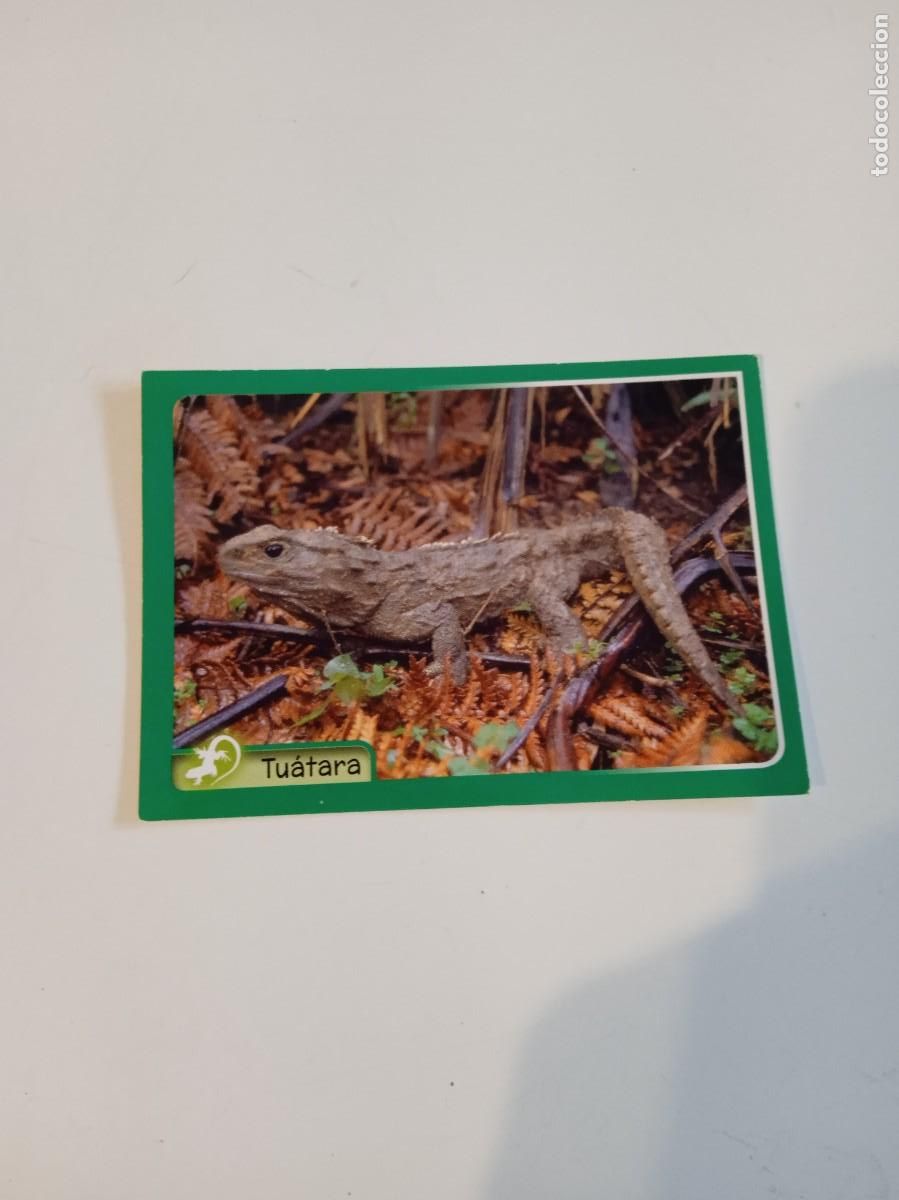Collectionnisme Cartes &agrave; collectionner anciennes: C-ESS CROMO SIN PEGAR EL GRAN ALBUM DEL MUNDO ANIMAL 2014 N&ordm; 291