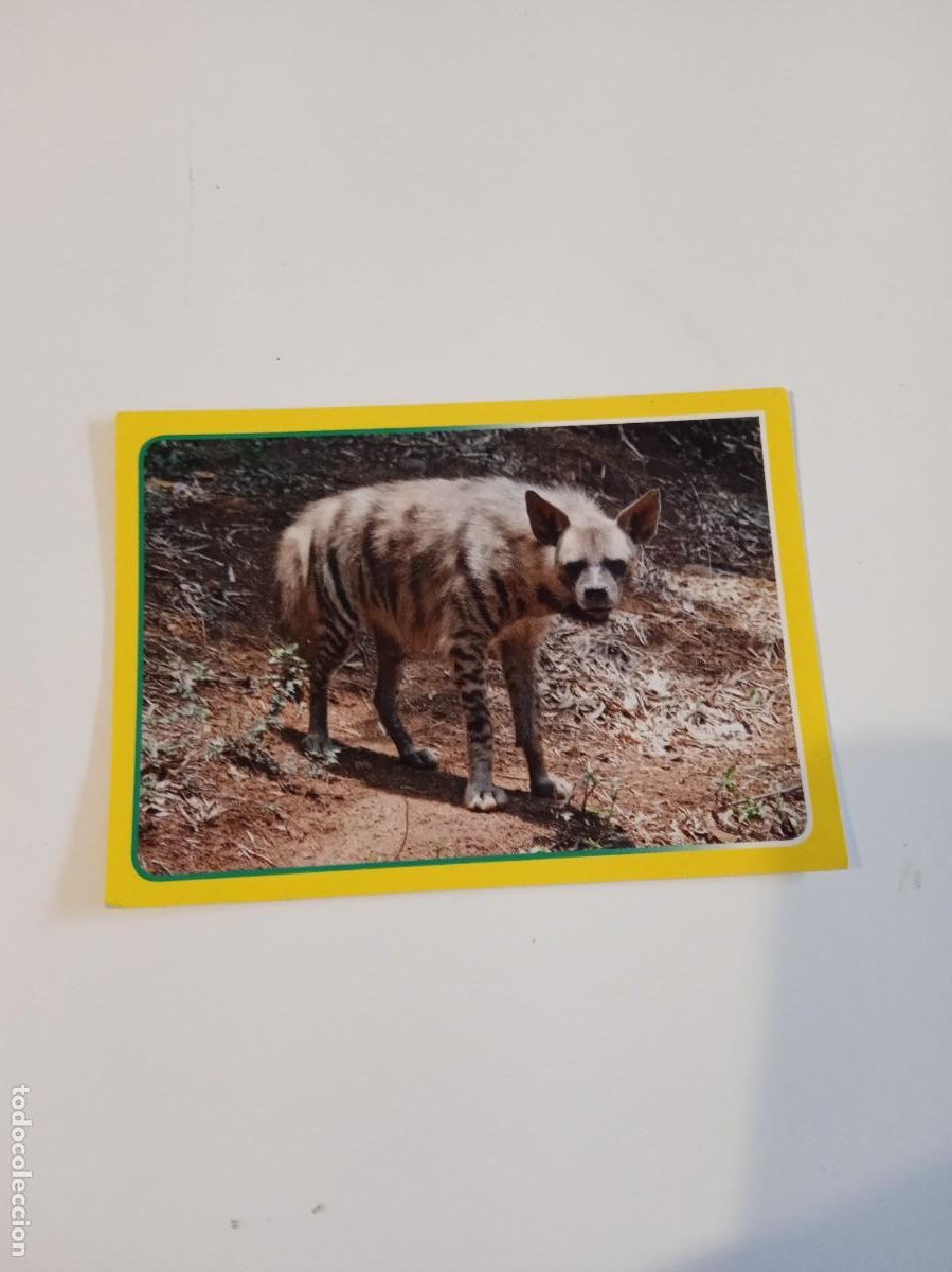 Collectionnisme Cartes &agrave; collectionner anciennes: C-ESS CROMO SIN PEGAR EL GRAN ALBUM DEL MUNDO ANIMAL 2014 N&ordm; 70