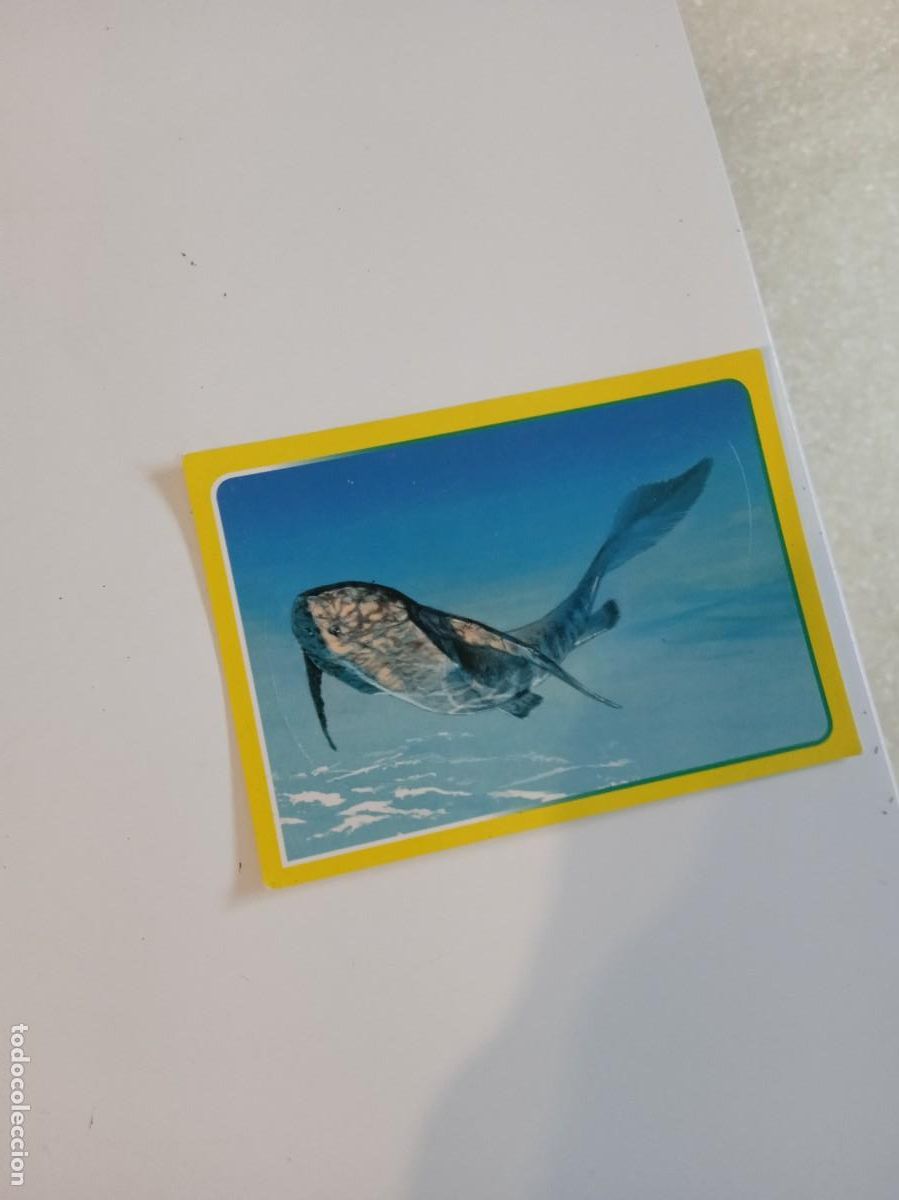 Collectionnisme Cartes &agrave; collectionner anciennes: C-ESS CROMO SIN PEGAR EL GRAN ALBUM DEL MUNDO ANIMAL 2014 N&ordm; 49