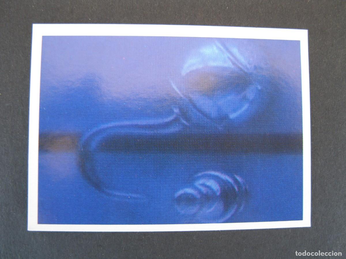 Coleccionismo cromos antiguos: HOOK - CROMO N&ordm; 133 - ASTON DE EDICIONES - NUNCA PEGADO. - Foto 1