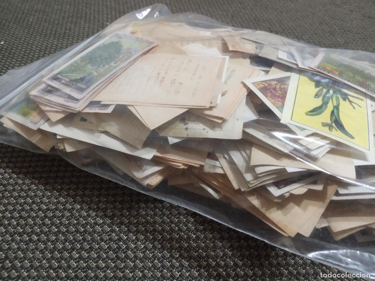 Coleccionismo cromos antiguos: BOLSA CIENTOS DE CROMOS NETSLE BIMBO CHOCOLATES ...... - LOTE 2 - Foto 6